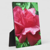 Rote Rose Fotoplatte (Seite)