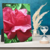 Rote Rose Fotoplatte (Seite)