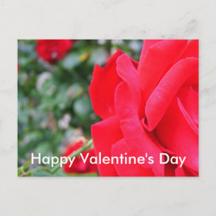 Rote Rose, frohen Valentinstag Feiertagspostkarte