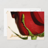 Rote Rose für Hochzeiten im Dezember Einladungspostkarte (Vorne/Hinten)