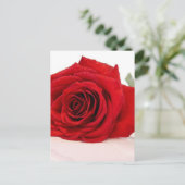 Rote Rose für langes Stechen Postkarte (Stehend Vorderseite)