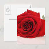Rote Rose für langes Stechen Postkarte (Vorne/Hinten)