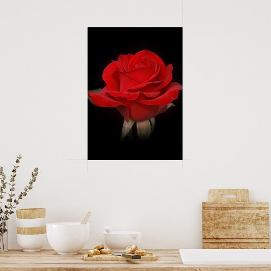 Rote Rose für Sie Poster (Küche)