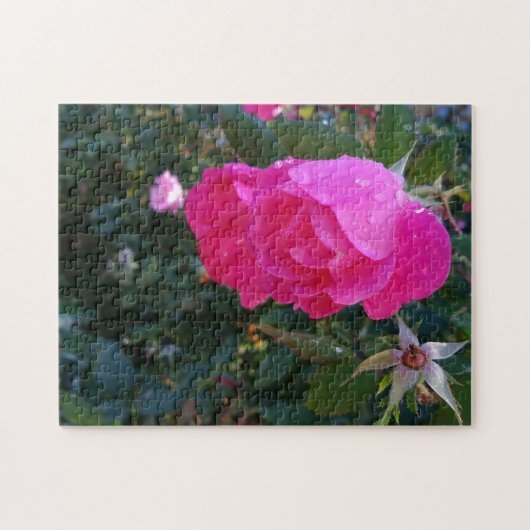 Rote Rose Garden Blume Puzzle (Horizontal)