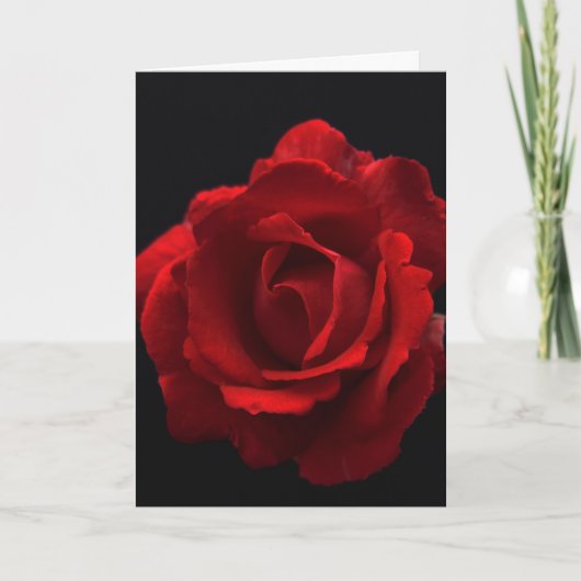 Rote Rose gccn arc3 Karte (Vorderseite)