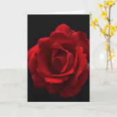 Rote Rose gccn arc3 Karte (Gelbe Blume)