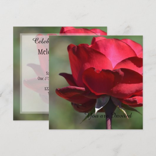 Rote Rose Geburtstag Einladung (Vorne/Hinten)