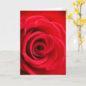 Rote Rose gefaltete Karte (Gelbe Blume)