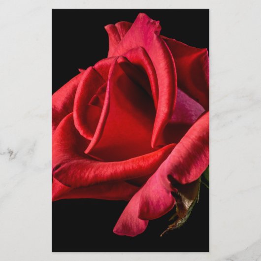 Rote Rose gegen schwarzen Hintergrund Briefpapier (Vorderseite)