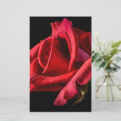 Rote Rose gegen schwarzen Hintergrund Briefpapier (Stehend Vorderseite)