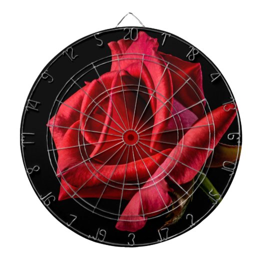 Rote Rose gegen schwarzen Hintergrund Dartscheibe (vorne)