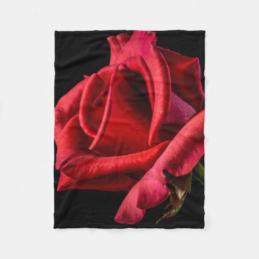 Rote Rose gegen schwarzen Hintergrund Fleecedecke (Vorderseite)