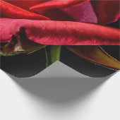 Rote Rose gegen schwarzen Hintergrund Geschenkpapier (Ecke)