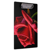 Rote Rose gegen schwarzen Hintergrund Klemmbrett (Rechts)