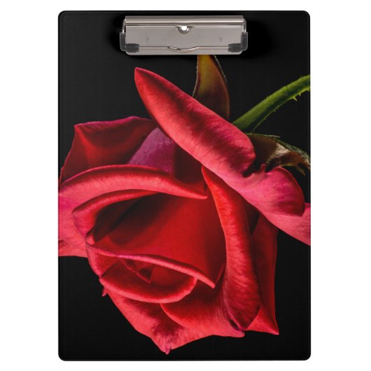 Rote Rose gegen schwarzen Hintergrund Klemmbrett (Vorderseite)