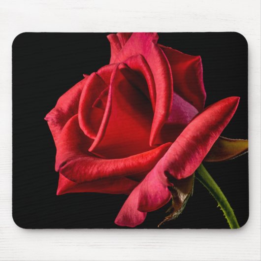 Rote Rose gegen schwarzen Hintergrund Mousepad (Vorne)