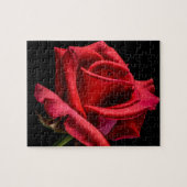 Rote Rose gegen schwarzen Hintergrund Puzzle (Horizontal)