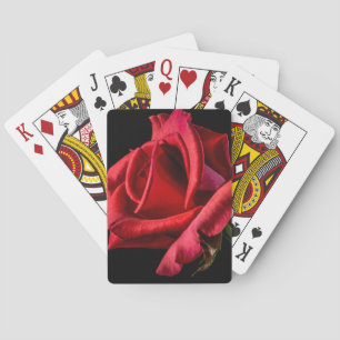 Rote Rose gegen schwarzen Hintergrund Spielkarten