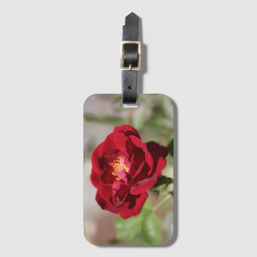 Rote Rose Gepäckanhänger (Vorderseite Vertikal)