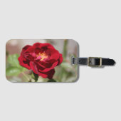 Rote Rose Gepäckanhänger (Vorderseite (Horizontal))