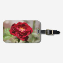 Rote Rose Gepäckanhänger