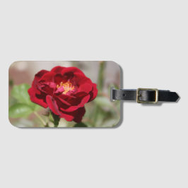 Rote Rose Gepäckanhänger