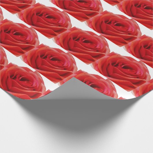 Rote Rose Geschenkpapier (Ecke)