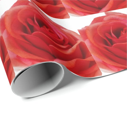 Rote Rose Geschenkpapier (Rolleneckpunkt)