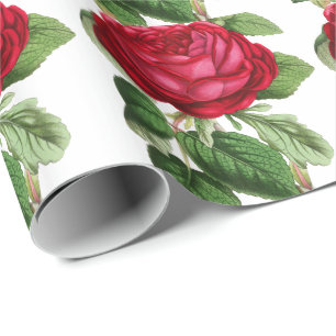 Rote Rose Geschenkpapier