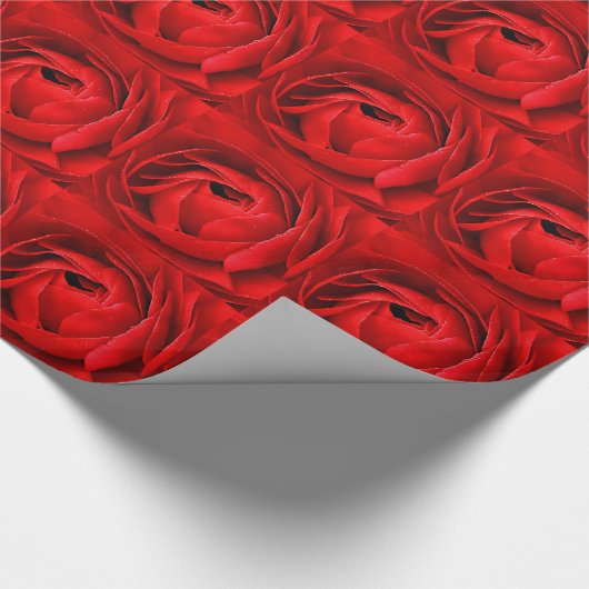 ROTE ROSE GESCHENKPAPIER (Ecke)