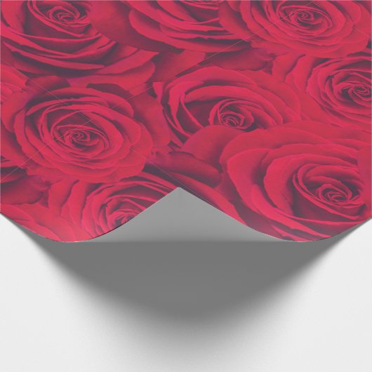 Rote Rose Geschenkpapier (Ecke)