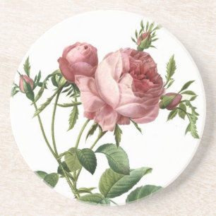 Rote Rose Getränkeuntersetzer