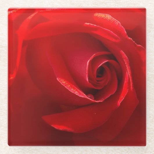 Rote Rose Glass Untersetzer (Vorderseite)