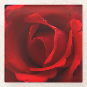 Rote Rose Glasuntersetzer