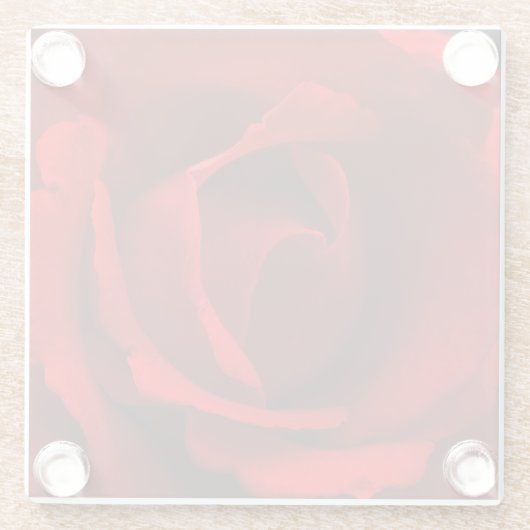 Rote Rose Glasuntersetzer (Rückseite)