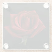 Rote Rose Glasuntersetzer (Rückseite)