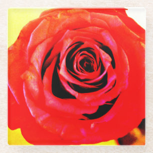 Rote Rose Glasuntersetzer