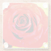 Rote Rose Glasuntersetzer (Rückseite)
