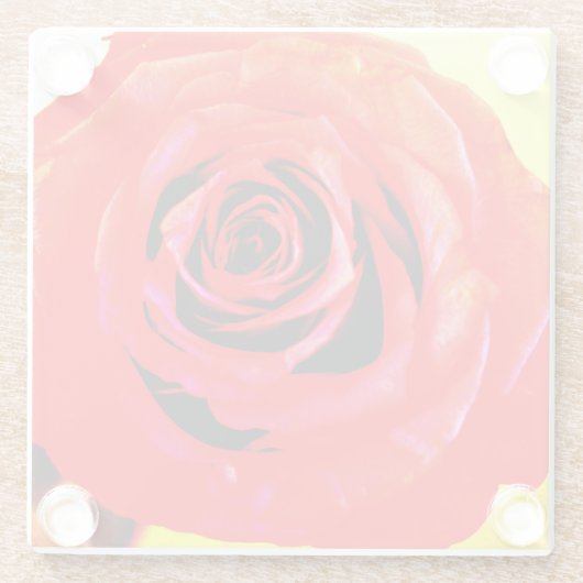 Rote Rose Glasuntersetzer (Rückseite)