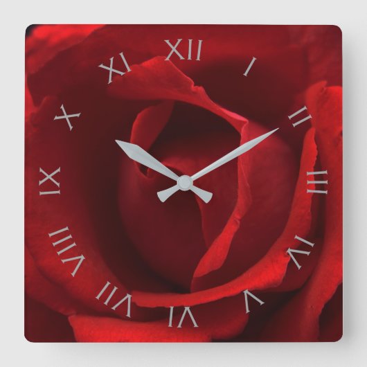 Rote Rose Grau-römische Numbers-Wettkampf Quadratische Wanduhr (Vorderseite)