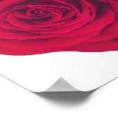 Rote Rose große Facing Verlassen Poster (Ecke)