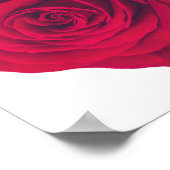 Rote Rose große Facing Verlassen Poster (Ecke)