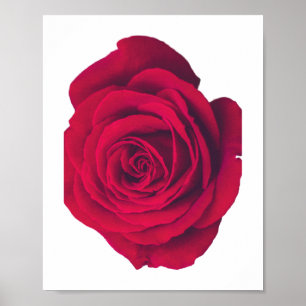Rote Rose große Facing Verlassen Poster