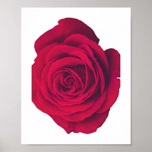 Rote Rose große Facing Verlassen Poster (Vorne)