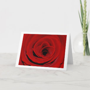 Rote Rose Grußkarte Karte