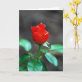 Rote Rose Grußkarte leer innen Karte (Gelbe Blume)