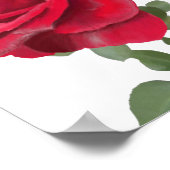 Rote Rose - handgestrichen Poster (Ecke)