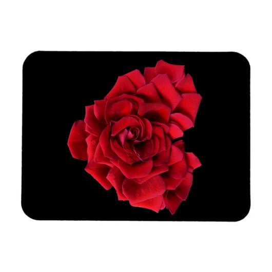 Rote Rose Heart Black Magnet (Horizontal)