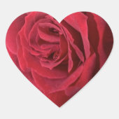 Rote Rose Herz-Aufkleber (Vorderseite)