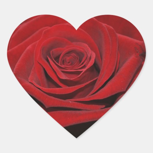 Rote Rose - Herzförmige Aufkleber (Vorderseite)